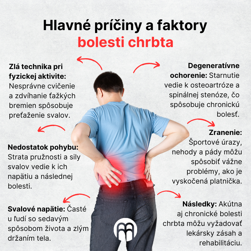 (Slovenčina) Hlavní příčiny a faktory bolesti zad